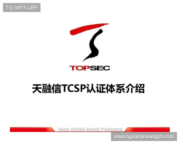 皇冠直营官方网安全支付保障，确保您的资金安全无忧